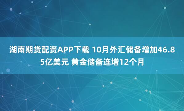 湖南期货配资APP下载 10月外汇储备增加46.85亿美元 黄金储备连增12个月