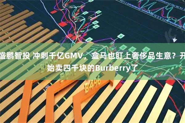 盛鹏智投 冲刺千亿GMV，盒马也盯上奢侈品生意？开始卖四千块的Burberry了