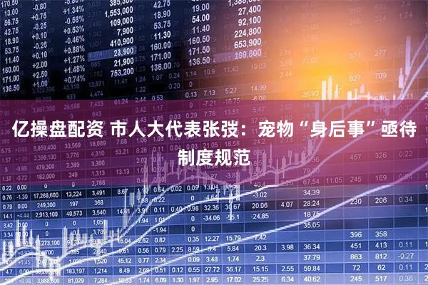亿操盘配资 市人大代表张弢：宠物“身后事”亟待制度规范
