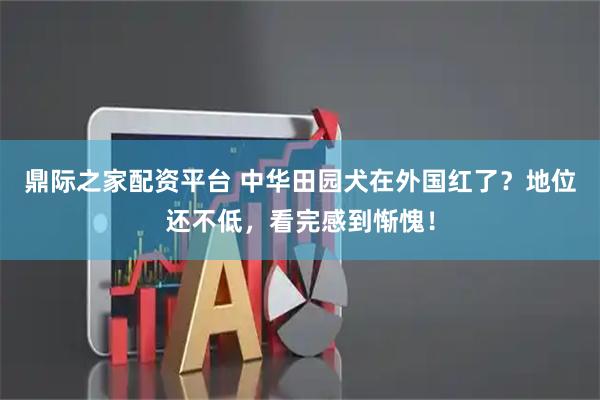 鼎际之家配资平台 中华田园犬在外国红了？地位还不低，看完感到惭愧！