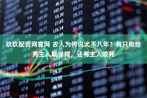 玖玖配资网官网 古人为何说犬不八年？有只狗给男主人戴绿帽，还将主人咬死